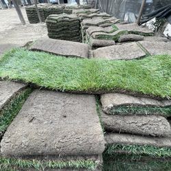 Grass And Sprinklers $3 Per Sq / Ft