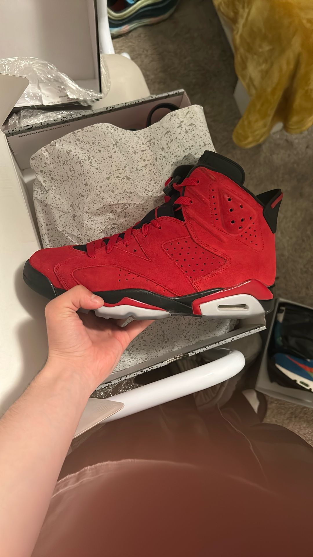 Air Jordan 6 Retro
