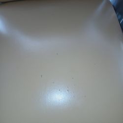 6 Dining Chairs  Leather/Vinyl Upholstered