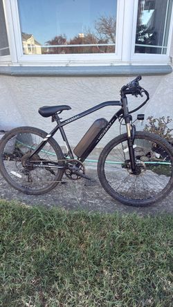 Hoverfly Ourea Ebike