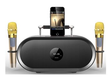 Karaoke Speaker With Two Microphones