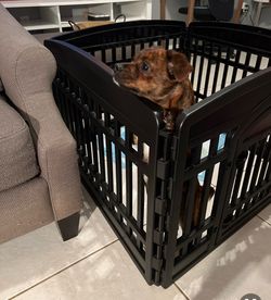 Dog playpen