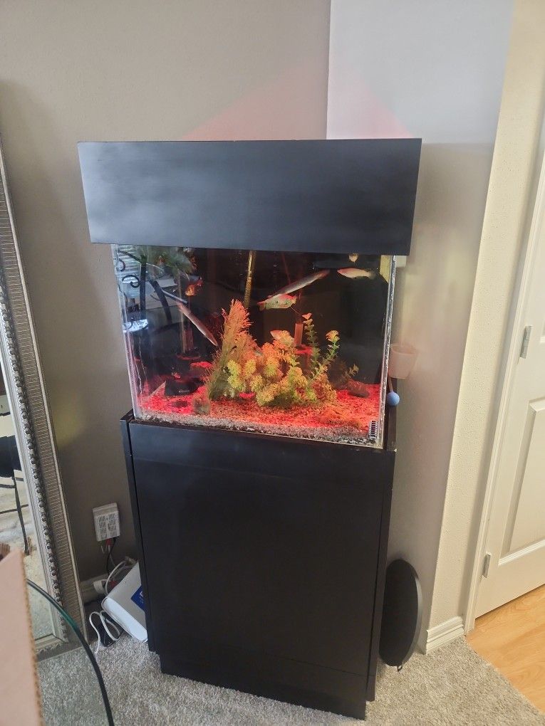 Free 70 Gallon Custom Fish Tank