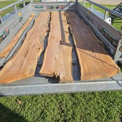 Cedar Slabs, Wood, Boards, Live Edge