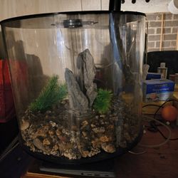 Biorb 35 Round Cylinder Fish Tank