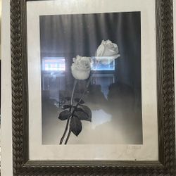 d stefanich photography