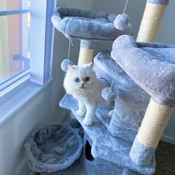 Cat Tree With Toys 