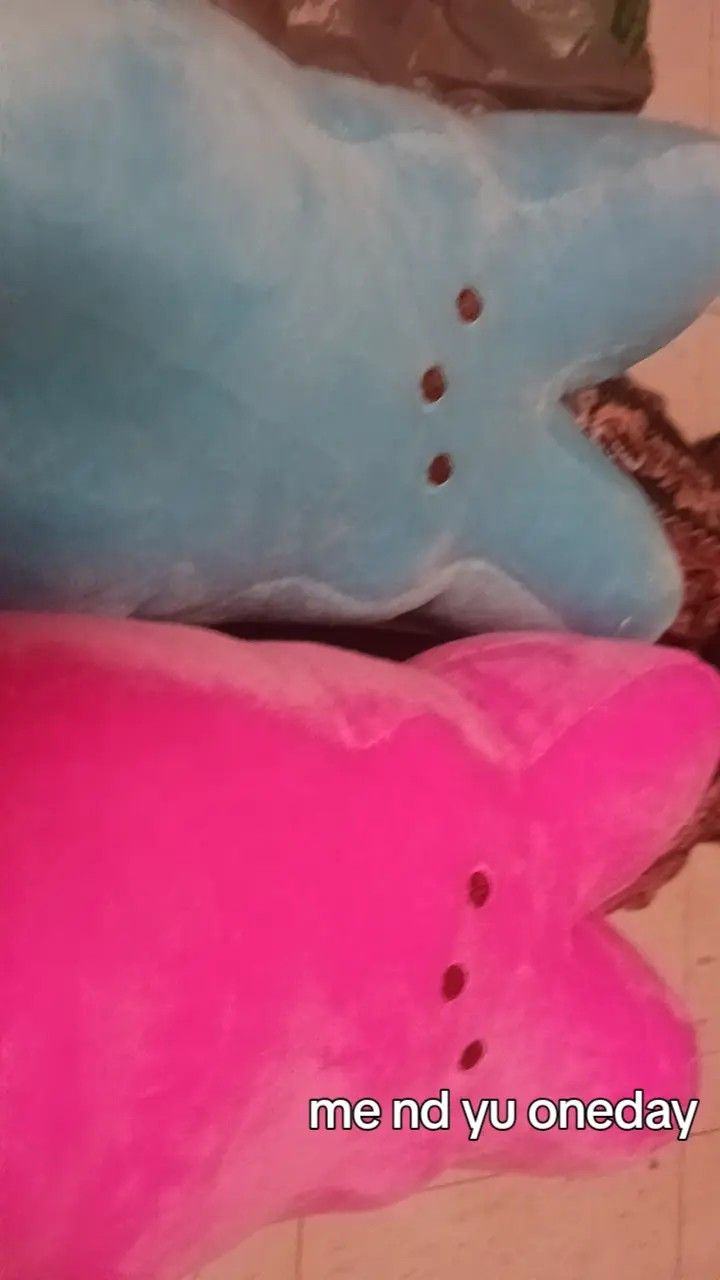 Who Wants This Blue Peep Plushie I'm Only Giving The Blue One
