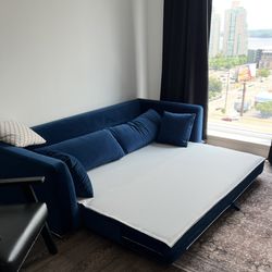Sleeper Sofa deal OF THE CENTURY !!