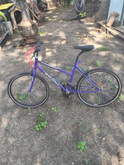Roadmaster all terrain