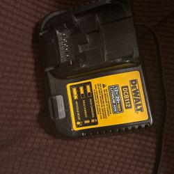 Dewalt Battery Charger 2 Chargers
