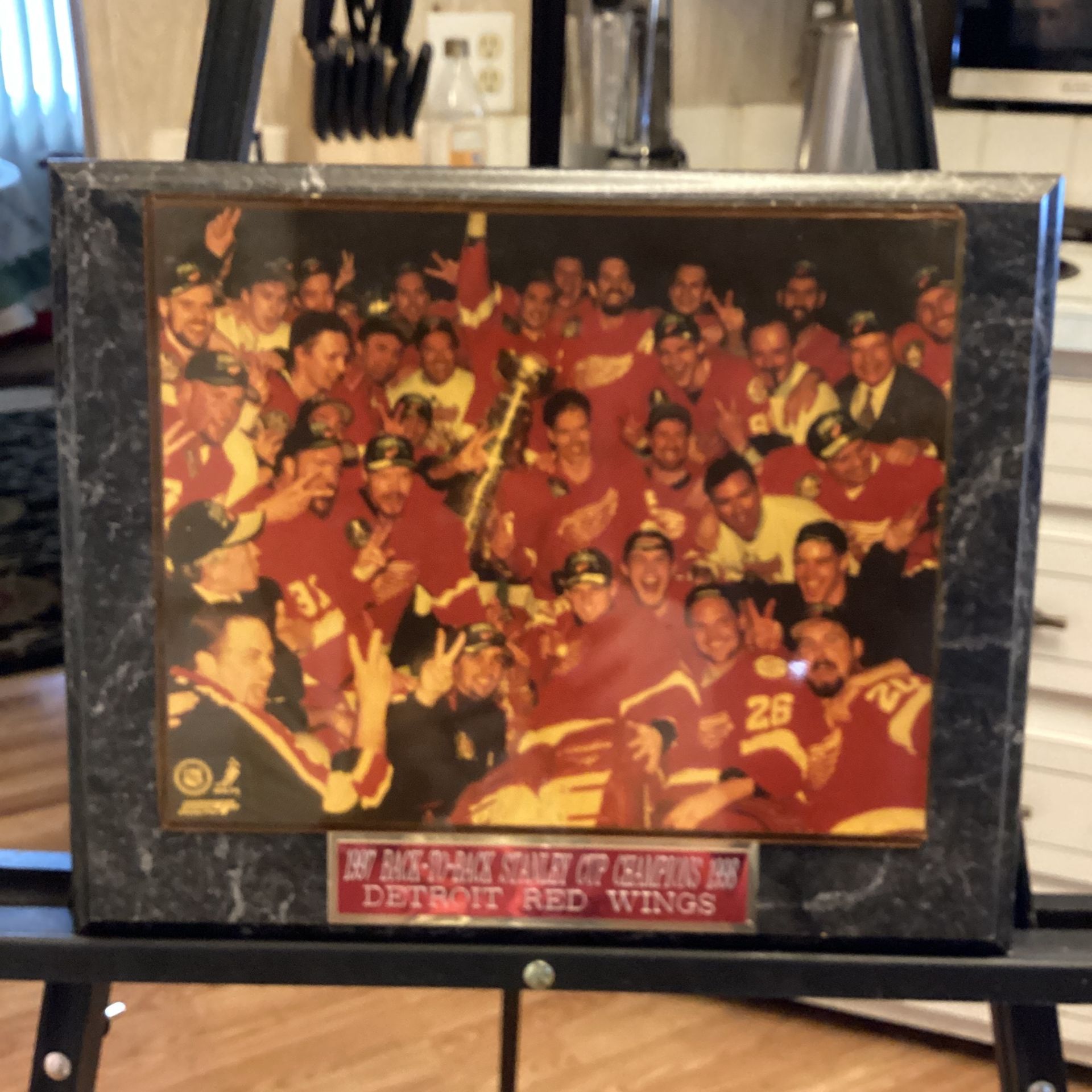 Detroit Red Wings Stanley Cup Champions 1998