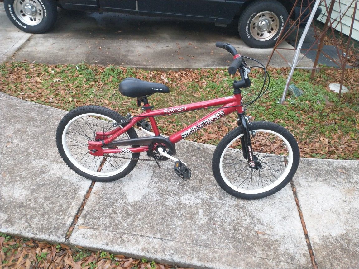 Boys 20" Schwinn BMX Bike