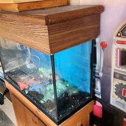 Free Fish Tank 30 Gallon 