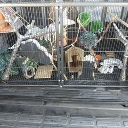 Bird cage