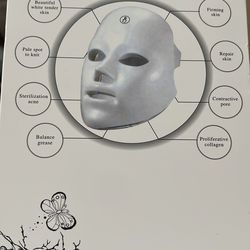 Lighth facial beauty instrument