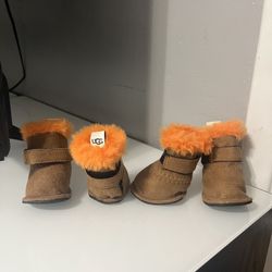 Ugg Boots For Small Dogs 