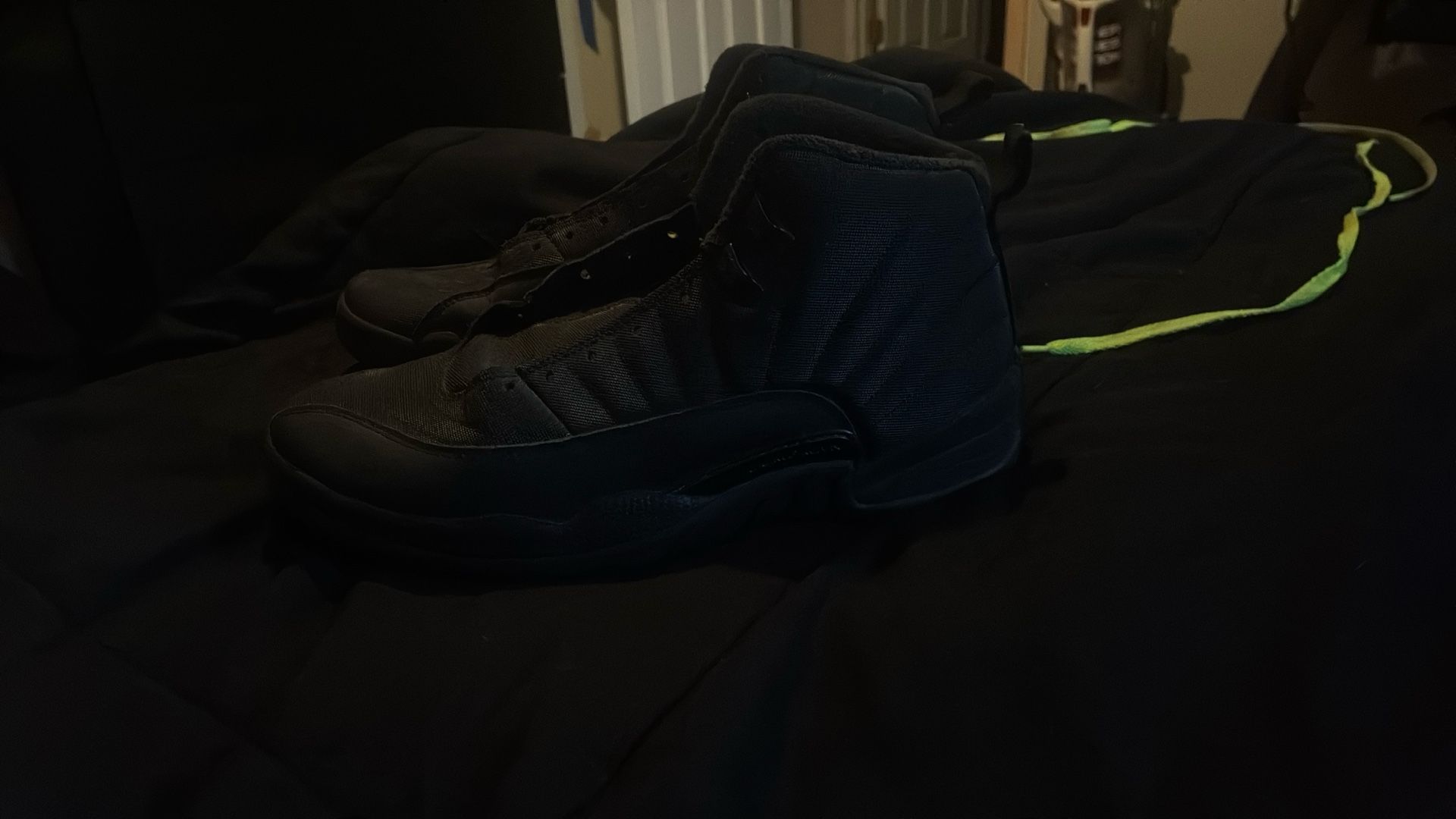 Jordan 12 Snow retros Size 10.5