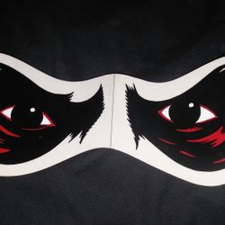 Tony Hawk sticker