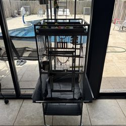 Bird Cage 
