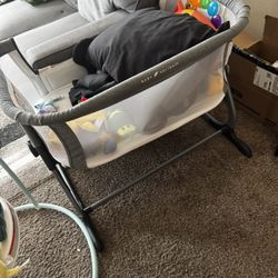Baby delight Bassinet