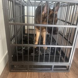 Large Sturdy Dog Kennel 