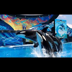 SeaWorld Tickets