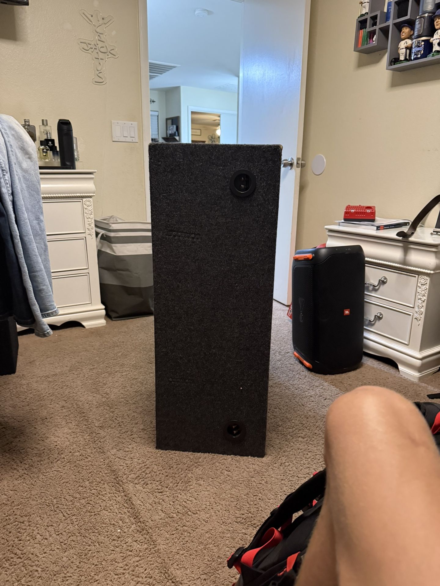 Dual 12 Inch Speaker Box