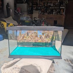 Reptile Cage with Sand