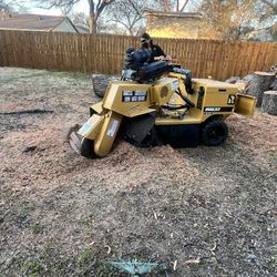 Stump Take Out Tree Removal 