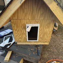 Dog House 