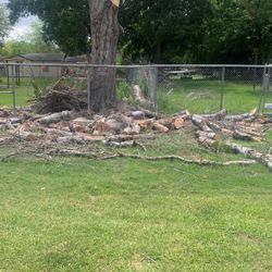 FREE OAK FIREWOOD