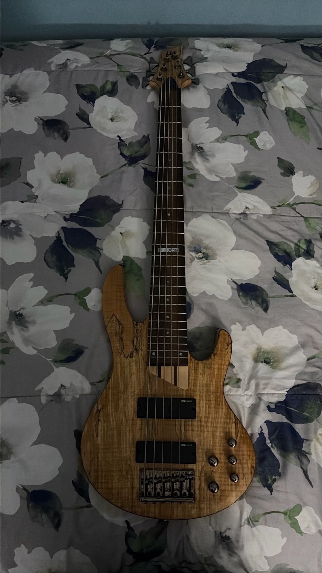ESP LTD B206SM 6 String Bass