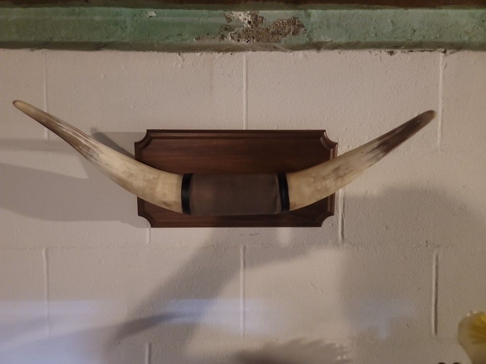 Bull Horns
