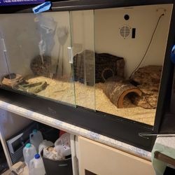 2 Really Nice Lizard.or Snake Enclosure 