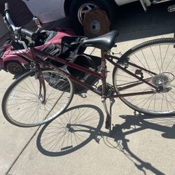 MultiTrack Trek Bike