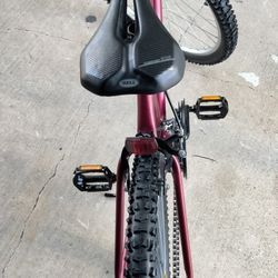 Barrin FS Elite Aluminum MT Bike. 