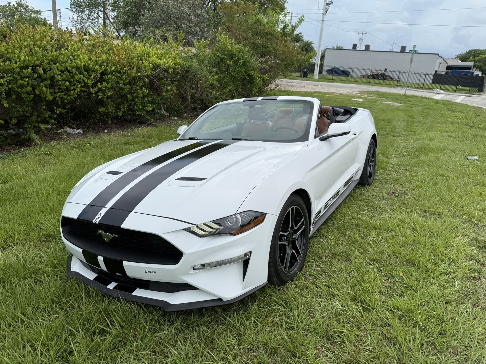 2019 Ford Mustang