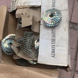 Roofing  Nails  Full Box   $25