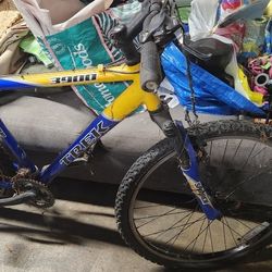 Trek Bicycle Needs Tlc