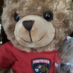 Vintage Florida Panthers Bear