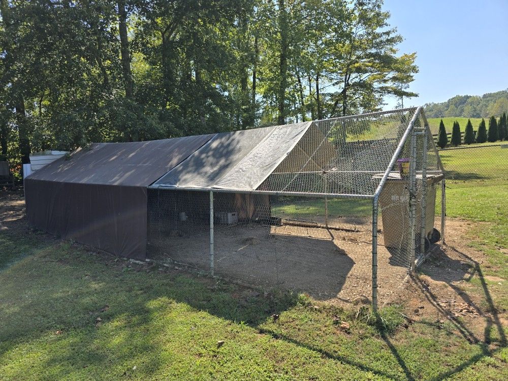 Chicken Coop With 26ft Net