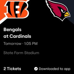 Cardinals Bengals
