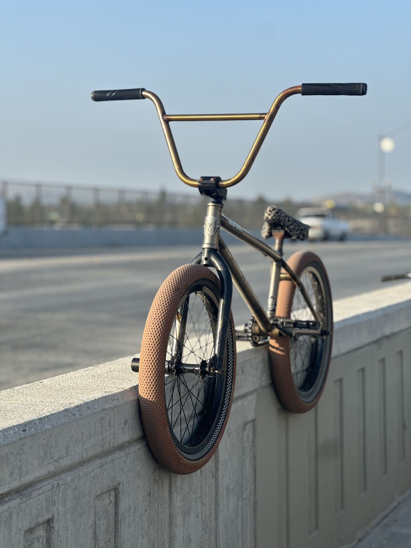 BMX Bike (Custom)