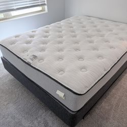2 Beautyrest Queen Bed, 2 Revive Queen Bed , Sofa And Carpet