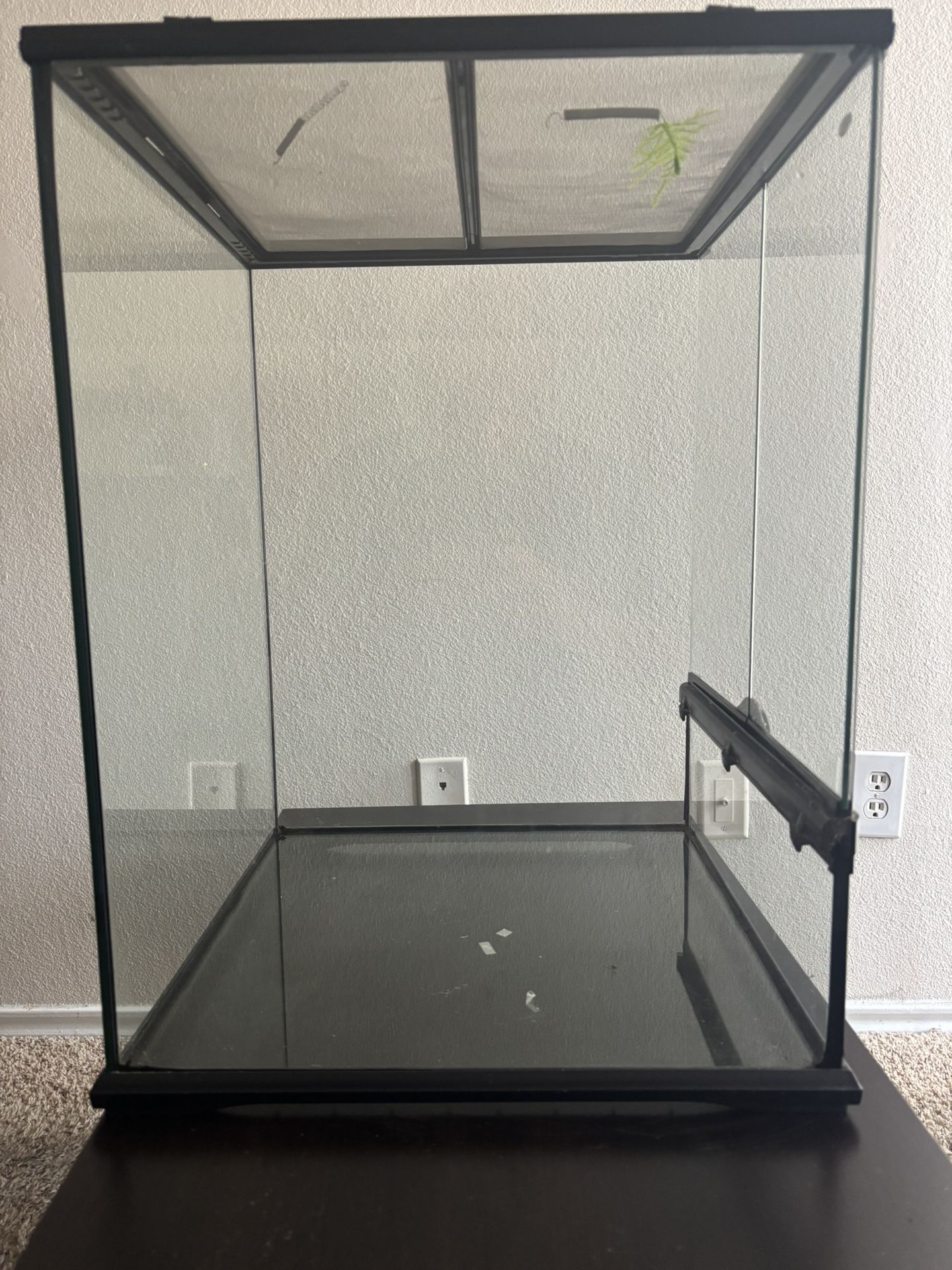 Terrarium