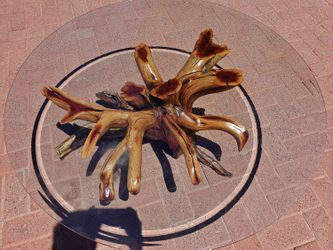 Handcrafted Manzanita Coffee Table – One-of-a-Kind Rustic Statement Piece