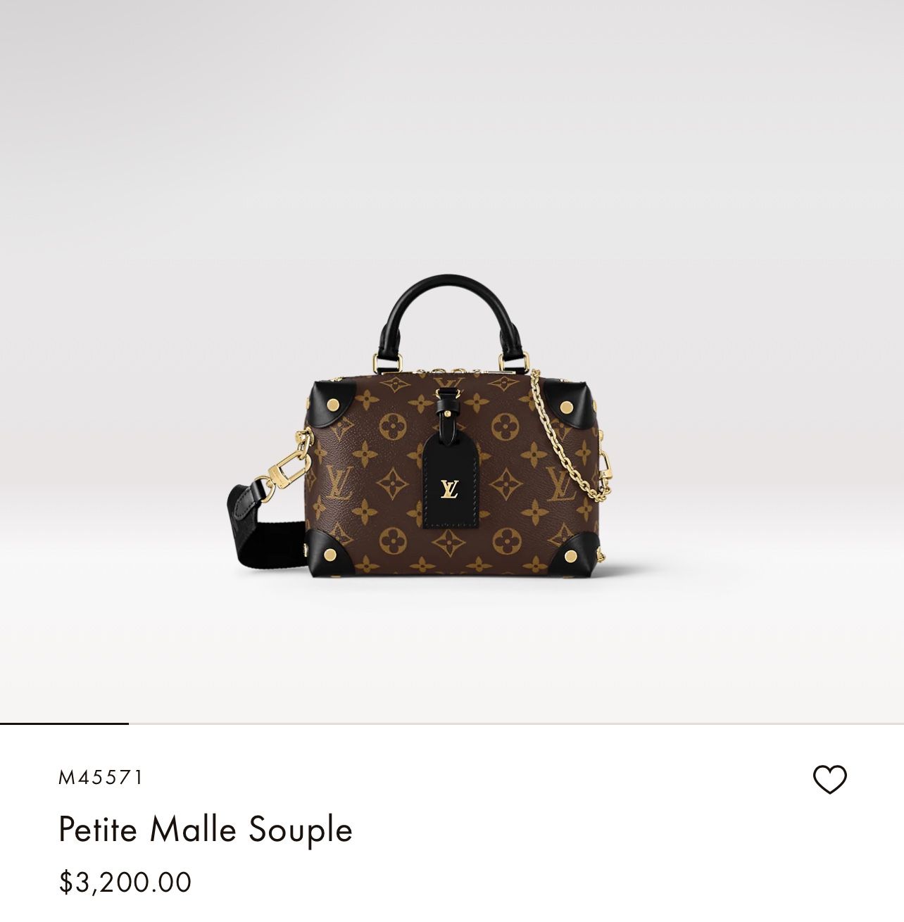 LV Purse 