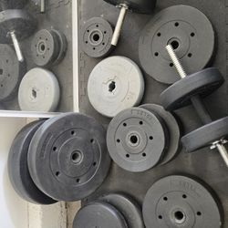 Workout/Weights/Bench/Bike
