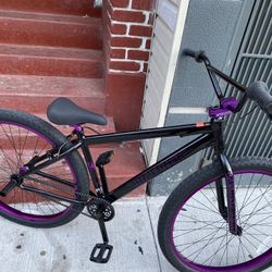 big flyer 